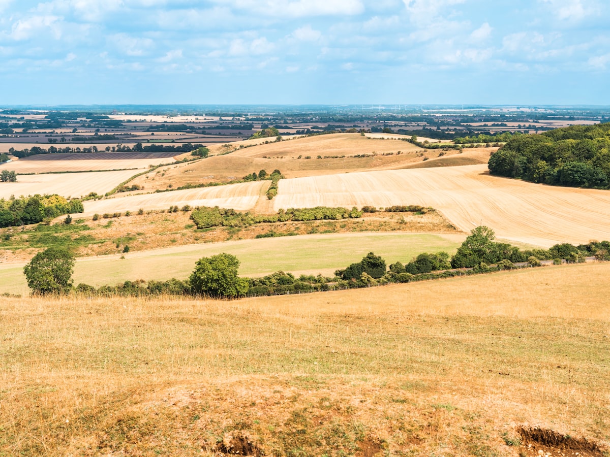 Aerial view of Hertfordshire countryside